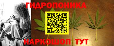 ешки Новозыбков