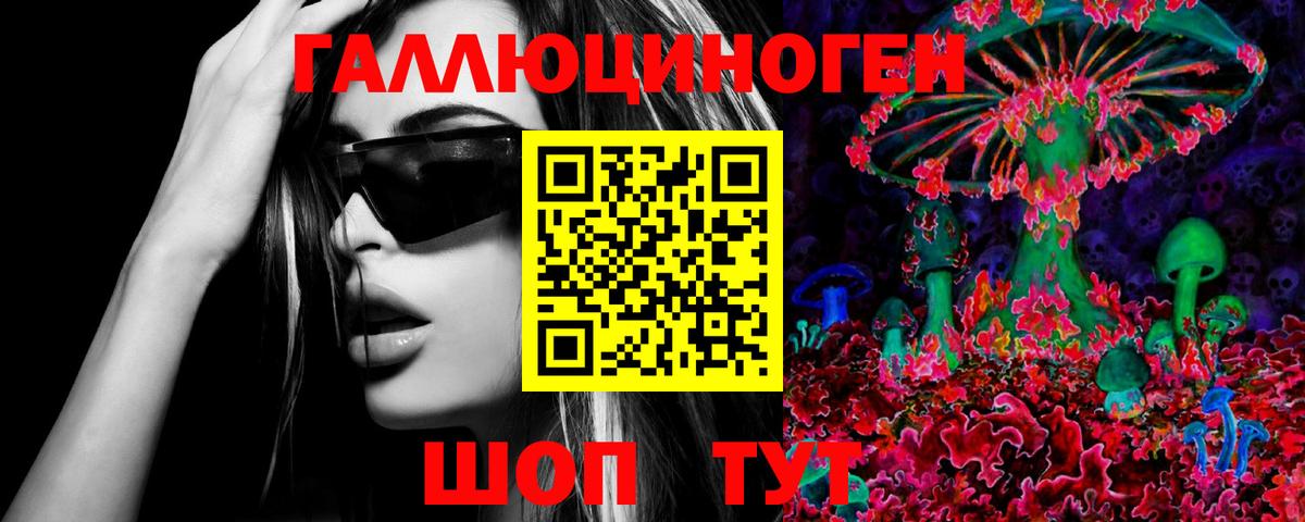 Псилоцибиновые грибы Psilocybe Тимашёвск