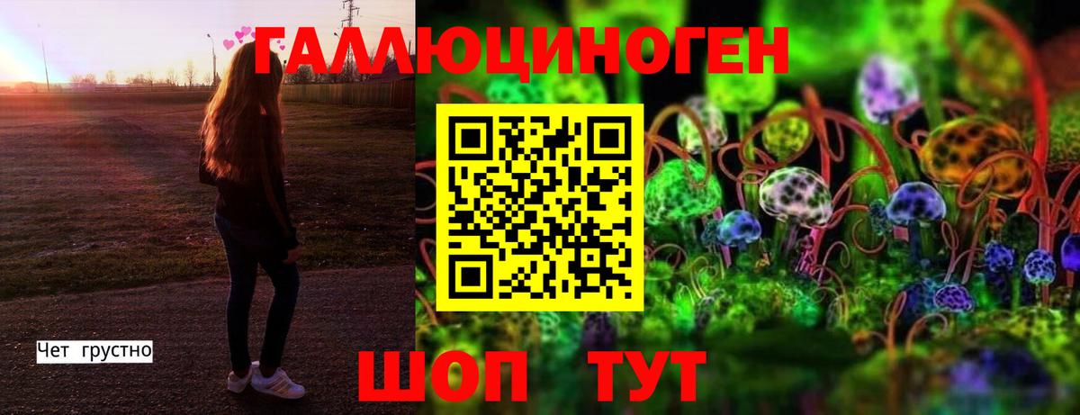 Тимашёвск  Галлюциногенные грибы прущие грибы  Вход с VPN 